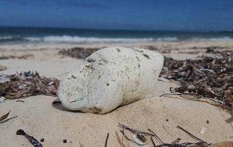 The Synthesis of  Fragrance of Ambergris